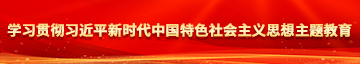 猛操中国美女学习贯彻习近平新时代中国特色社会主义思想主题教育